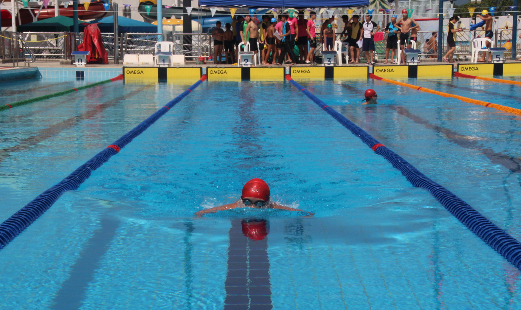 The 13th Swimming Gala